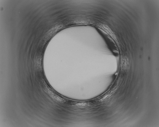 X0000066080441200604071736