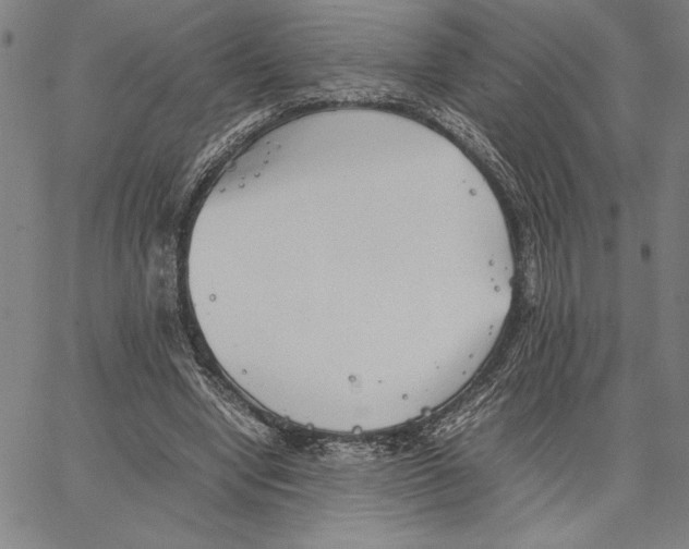 X0000066080442200604071736