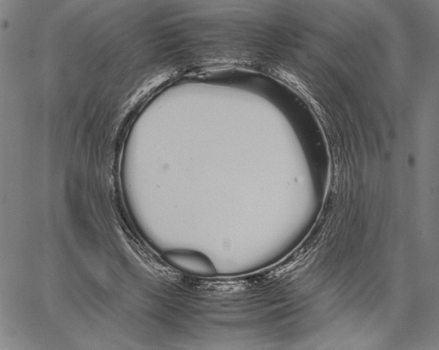 X0000066080443200604071736