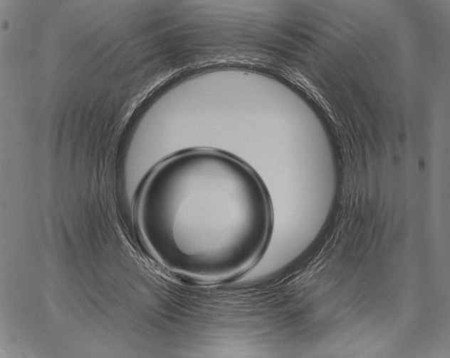 X0000066080444200604071736