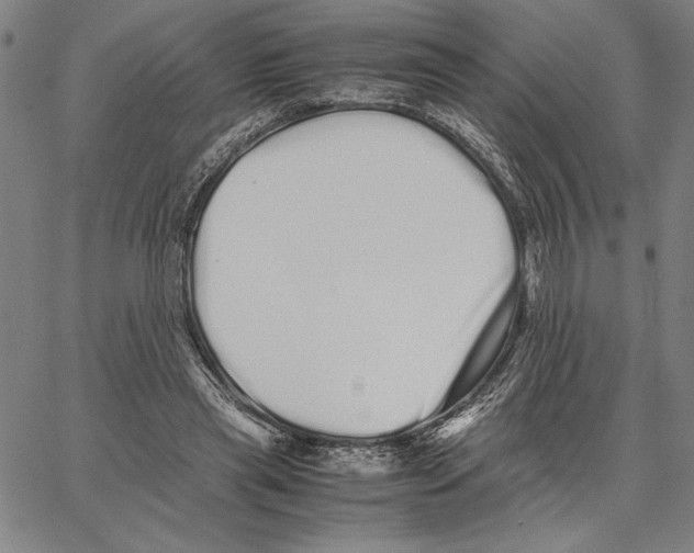 X0000066080445200604071736