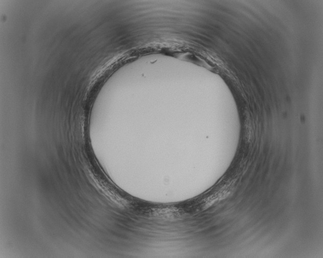 X0000066080446200604071736