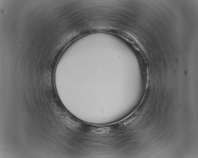 X0000066080447200604071736