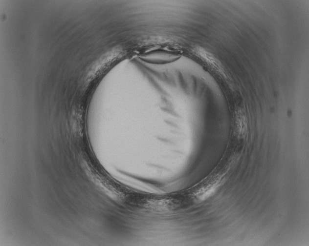 X0000066080450200604071736