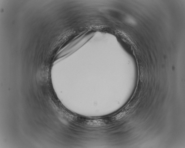 X0000066080451200604071736