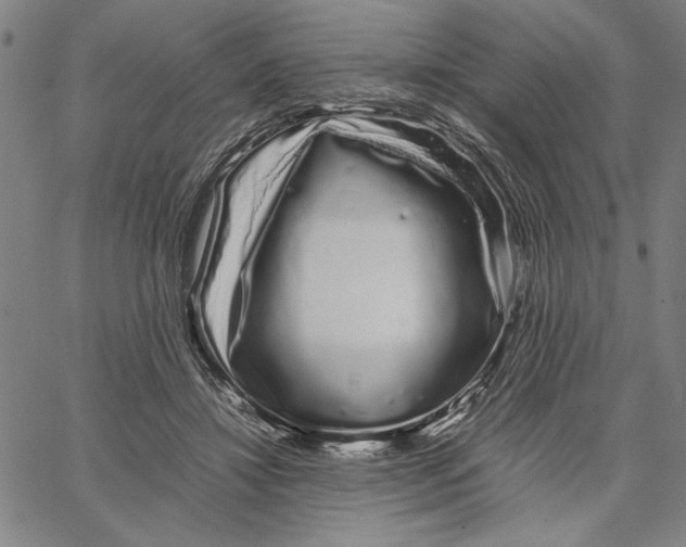 X0000066080452200604071736