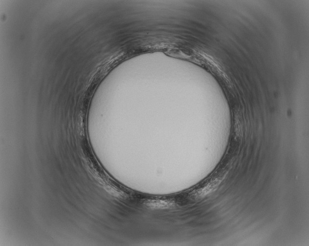 X0000066080453200604071736