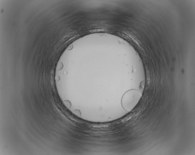 X0000066080455200604071736