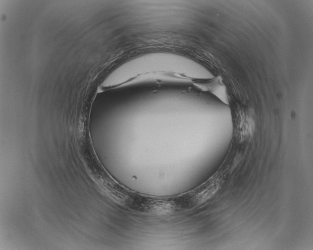 X0000066080456200604071736