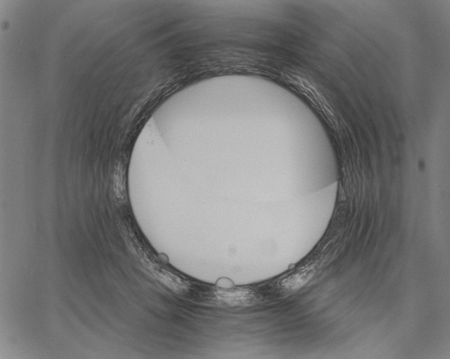 X0000066080457200604071736