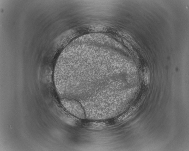 X0000066080458200604071736