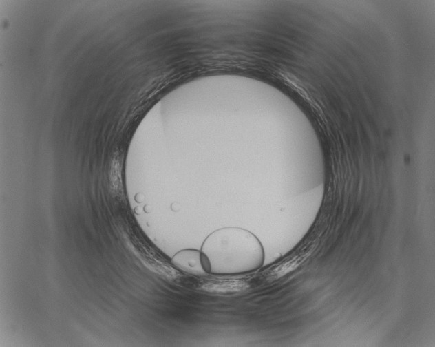 X0000066080459200604071736