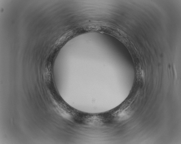 X0000066080460200604071736