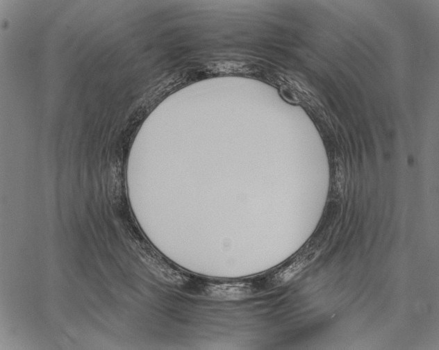 X0000066080461200604071736