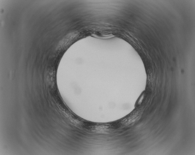 X0000066080462200604071736