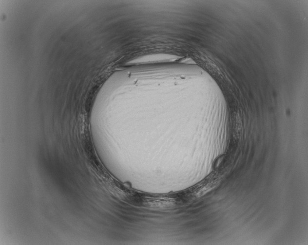 X0000066080463200604071736