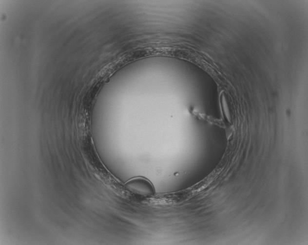 X0000066080464200604071736