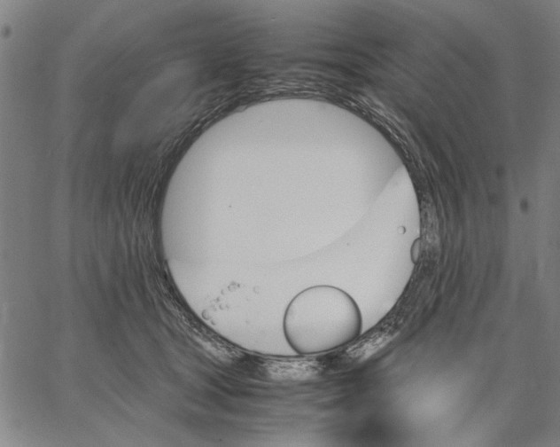 X0000066080465200604071736