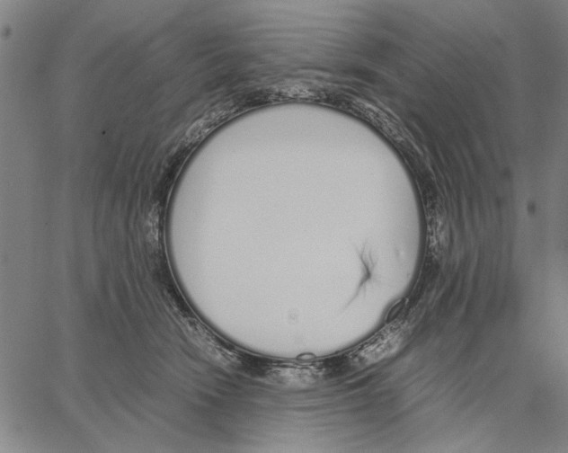 X0000066080466200604071736