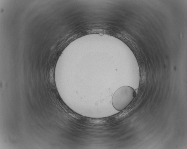 X0000066080467200604071736