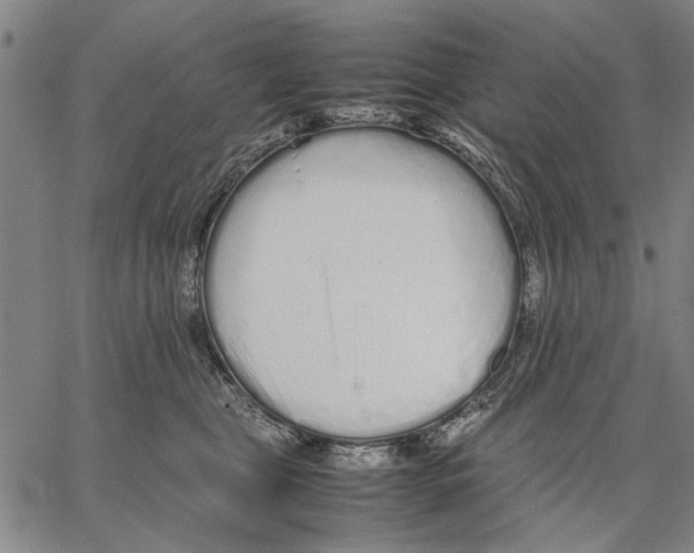 X0000066080469200604071736