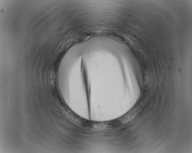 X0000066080470200604071736