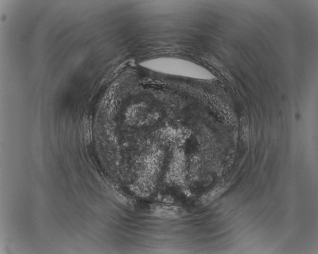 X0000066080471200604071736