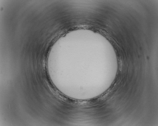 X0000066080472200604071736