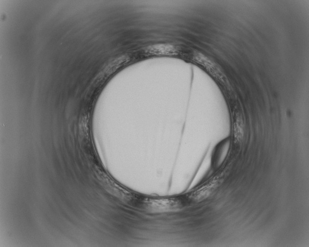 X0000066080473200604071736