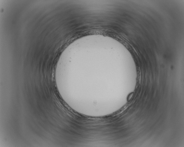 X0000066080476200604071736