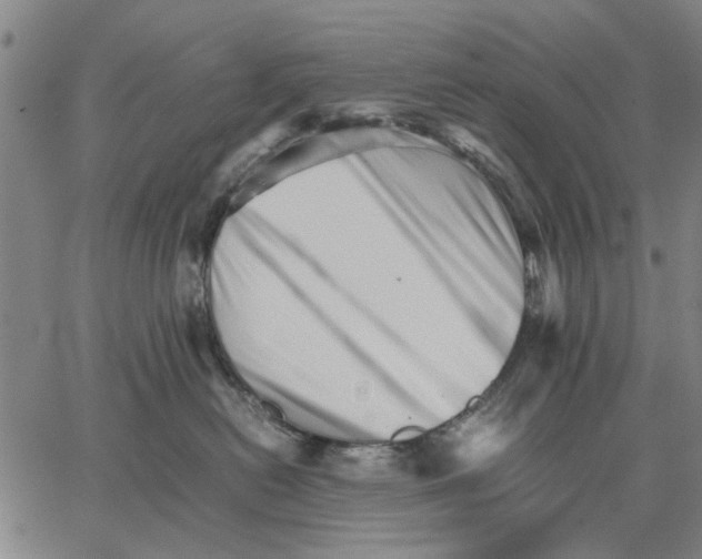 X0000066080478200604071736