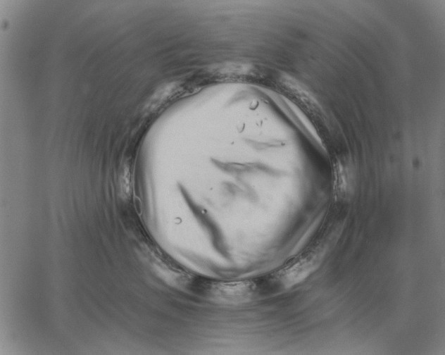 X0000066080479200604071736