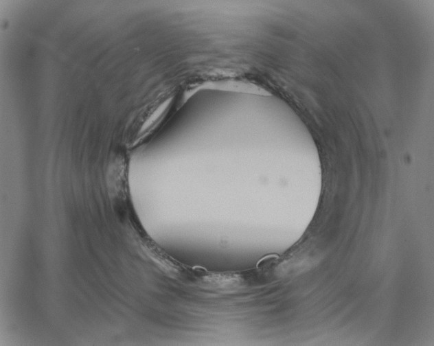 X0000066080480200604071736