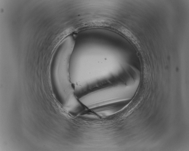 X0000066080481200604071735