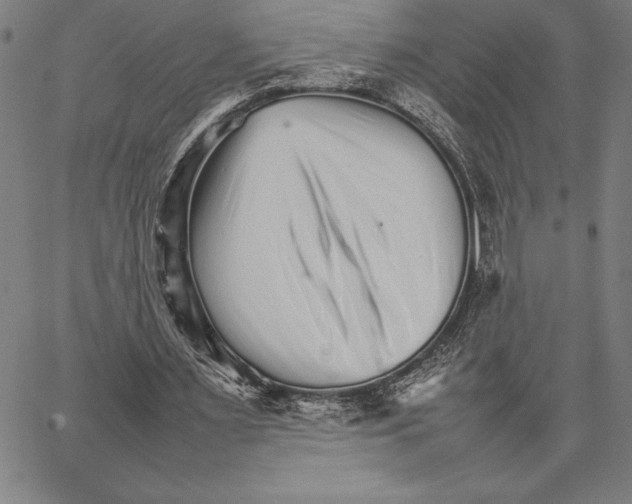 X0000066080483200604071735