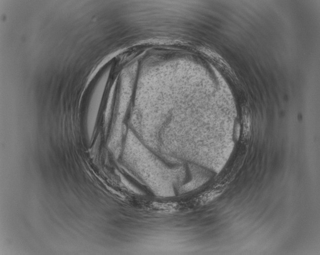 X0000066080484200604071735