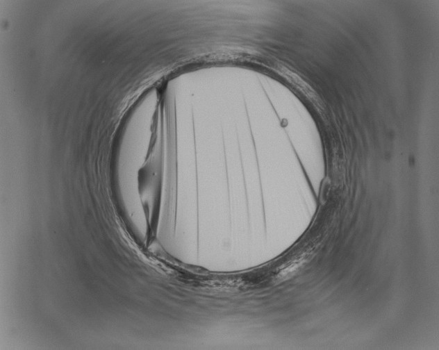 X0000066080485200604071735