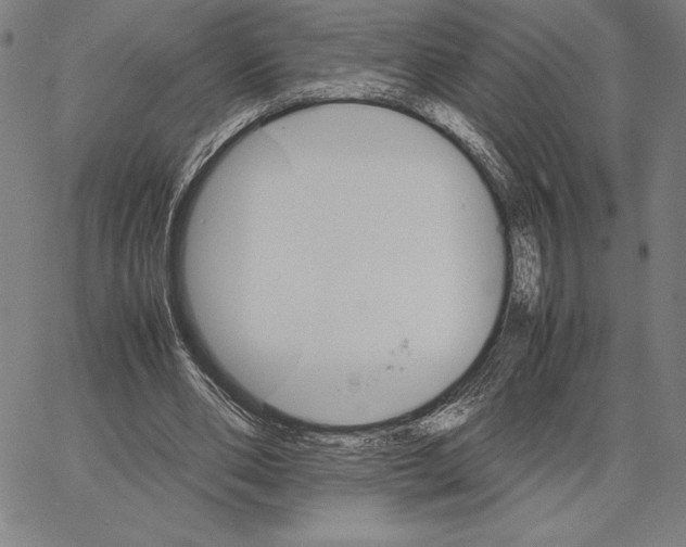 X0000066080486200604071735