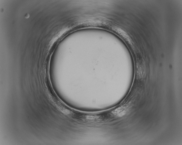 X0000066080487200604071735