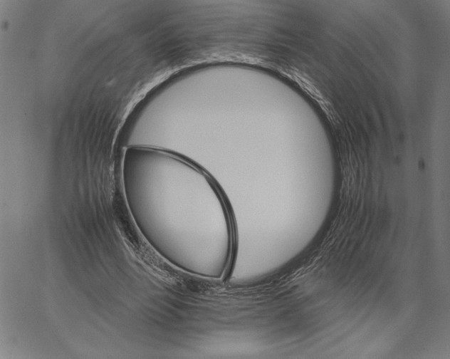 X0000066080488200604071735