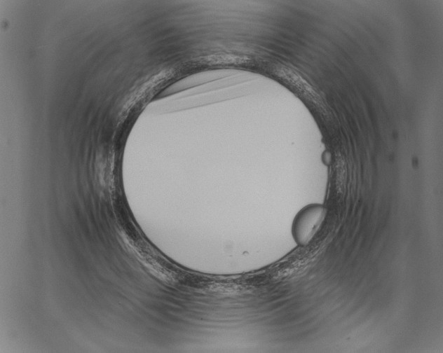 X0000066080490200604071735