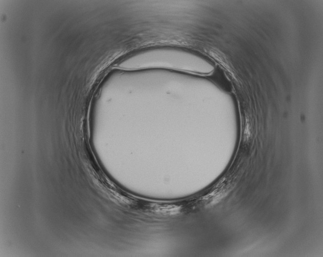 X0000066080491200604071735