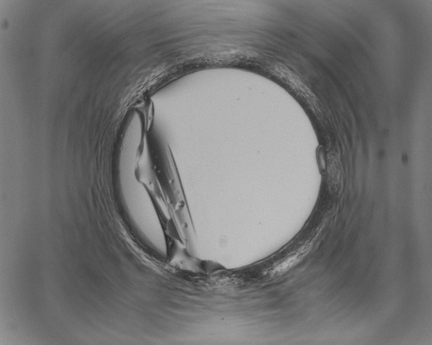 X0000066080493200604071735