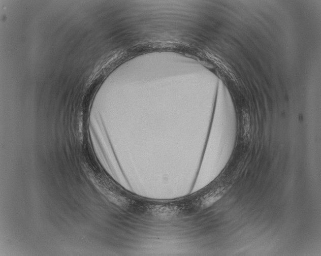 X0000066080494200604071735