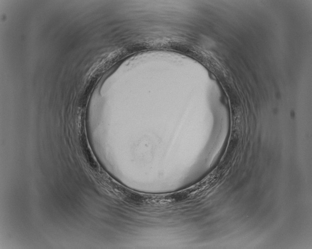 X0000066080495200604071735