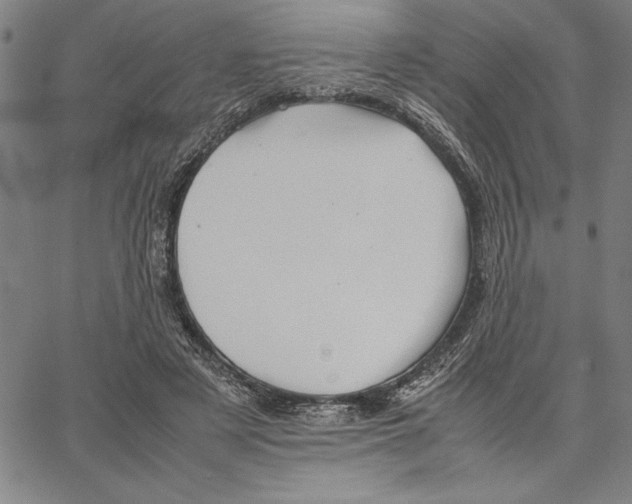 X0000066080497200604071735