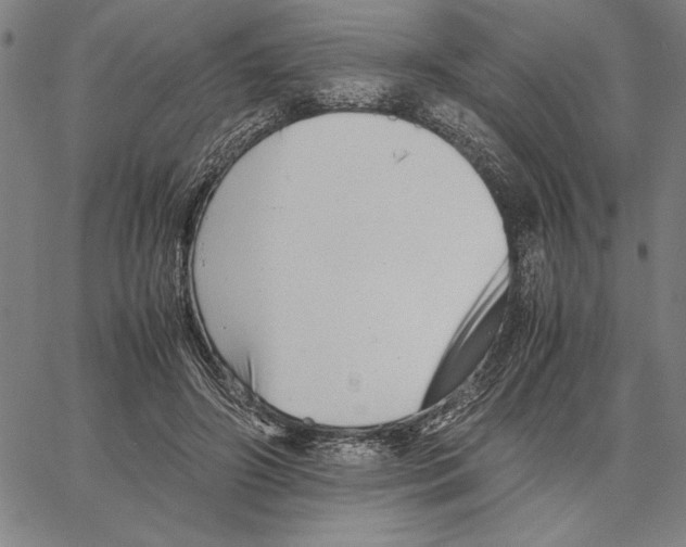 X0000066080498200604071735