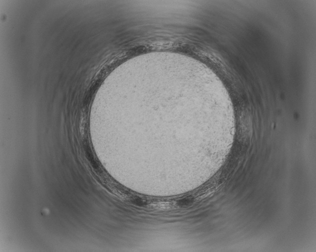 X0000066080499200604071735