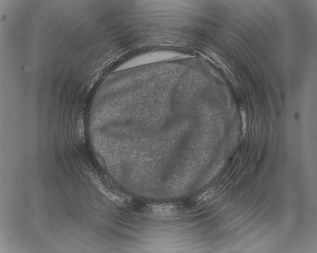 X0000066080500200604071735