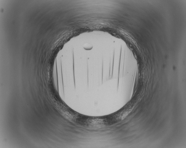 X0000066080501200604071735